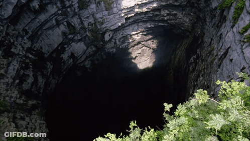A Dark Cave With A Few Trees In The Foreground GIF