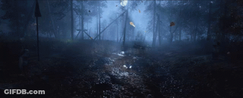 Dark Forest With Flying Leaves GIF