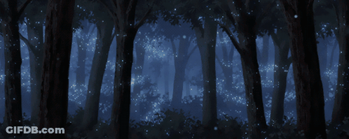 A Dark Forest With A Lot Of Trees And Lights GIF