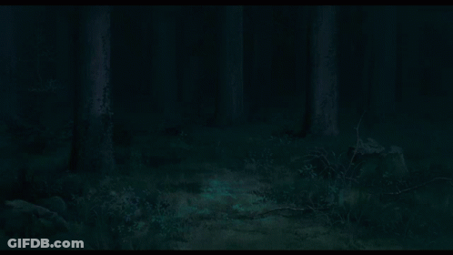 A Dark Forest With Trees And A Path Going Through It GIF