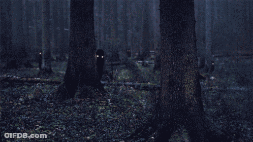 A Dark Forest With Trees And Leaves And A Person With Glowing Eyes GIF