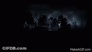 A Dark Forest With Trees Silhouetted Against A Dark Cloudy Sky GIF