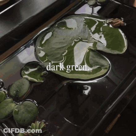 A Dark Green Leaf Is In The Water GIF