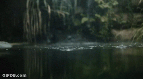 A Dark River With Trees In The Background And A Few Drops Of Water GIF