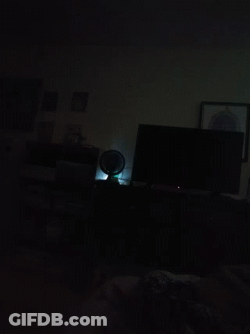 A Dark Room With A Picture On The Wall GIF
