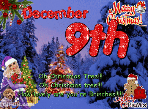 A December 9Th Merry Christmas Greeting Card With A Woman And A Dog GIF