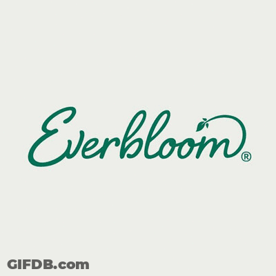 A Deck With A Table And Chairs Under An Umbrella With The Word Everbloom On The Bottom GIF
