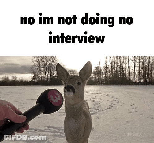 A Deer Is Being Interviewed By A Person Holding A Microphone GIF