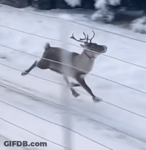 A Deer Is Running Through A Snowy Field Behind A Fence . GIF