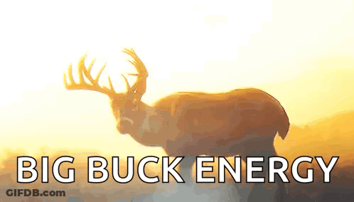 A Deer Is Standing In A Field With The Words Big Buck Energy Written Below It GIF