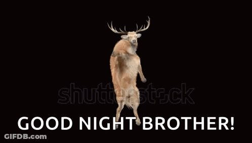 A Deer Standing On Its Hind Legs With The Words Good Night Brother Written Below It GIF