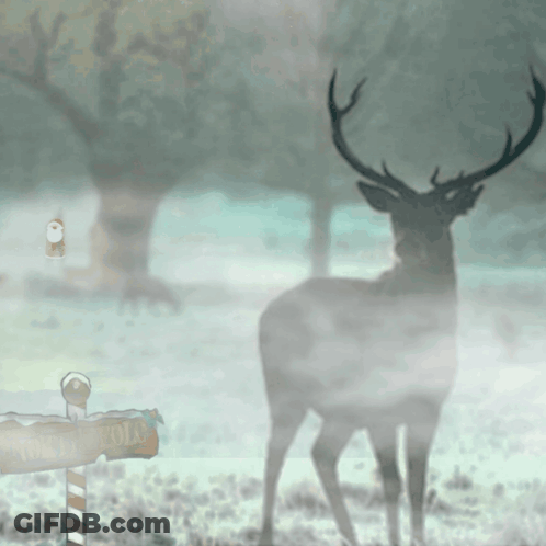 A Deer Stands In The Fog Near A Sign That Says North Pole GIF
