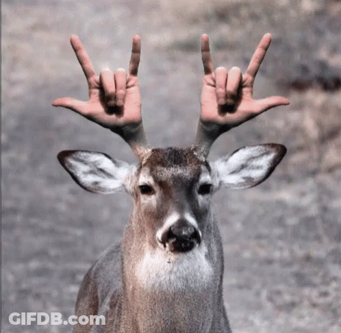 A Deer With A Hand On Its Antlers Making A I Love You Sign GIF