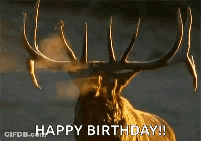A Deer With Antlers Is Blowing Smoke Out Of Its Mouth And Says `` Happy Birthday ! '' GIF
