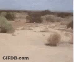 A Desert Landscape With A Few Trees In The Distance GIF