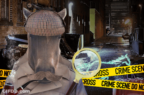 A Detective With A Magnifying Glass In Front Of A Cross Crime Scene Tape GIF