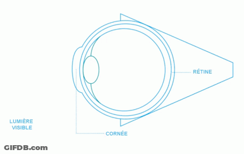 A Diagram Of A Person 'S Eye With The Words Danger Lumiere Bleue At The Top GIF