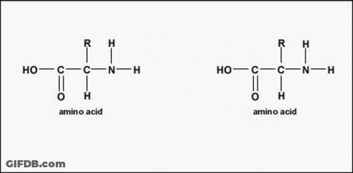 A Diagram Of Two Different Types Of Carboxylic Acids GIF