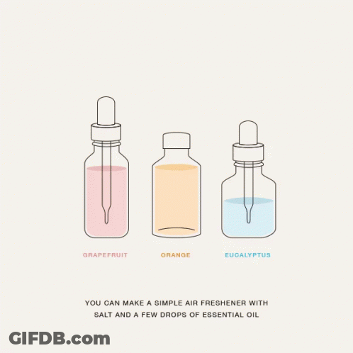 A Diagram Showing How To Make An Air Freshener With Grapefruit Orange And Eucalyptus Essential Oil GIF