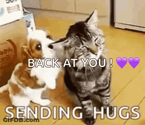 A Dog And A Cat Hugging Each Other With The Words " Back At You Sending Hugs " GIF
