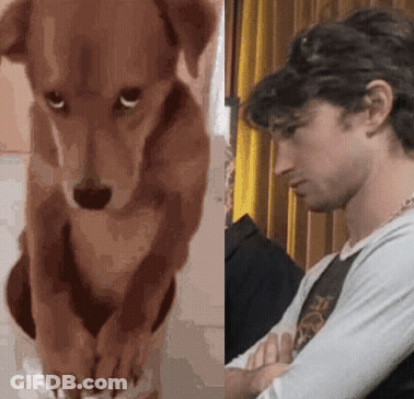 A Dog And A Man With Their Arms Crossed GIF