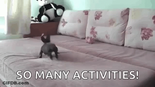 A Dog Crawling On A Couch With The Words So Many Activities GIF
