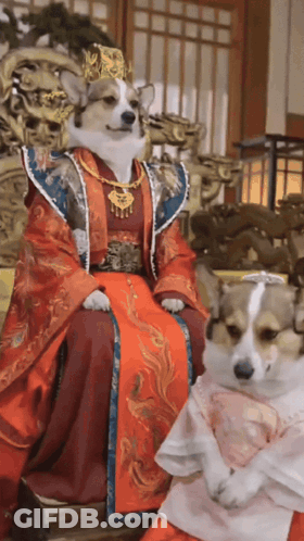 A Dog Dressed As A King Sits Next To Another Dog GIF