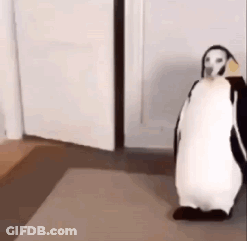 A Dog Dressed As A Penguin Is Standing On A Rug In A Room . GIF