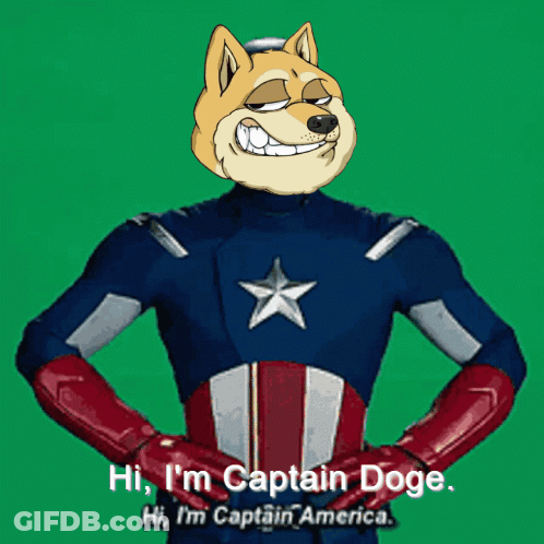 A Dog Dressed As Captain America Says Hi I 'M Captain Doge Hi I 'M Captain America GIF