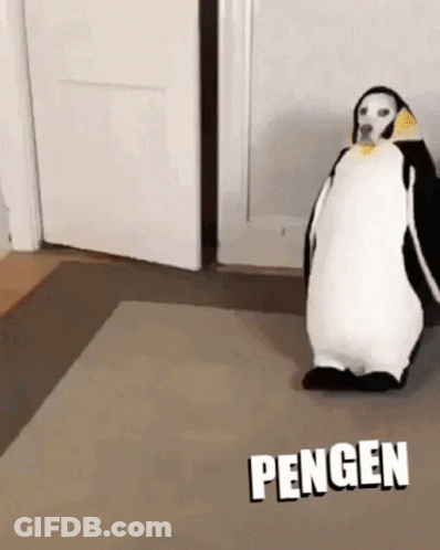 A Dog Dressed In A Penguin Costume Is Standing On A Rug . GIF