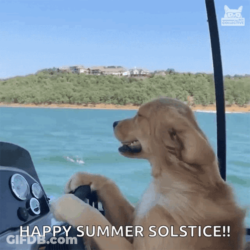 A Dog Driving A Boat With The Words Happy Summer Solstice On The Bottom GIF