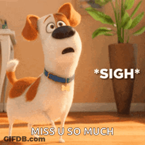 A Dog From The Secret Life Of Pets Is Standing In A Room And Says " Sigh Miss U So Much " GIF