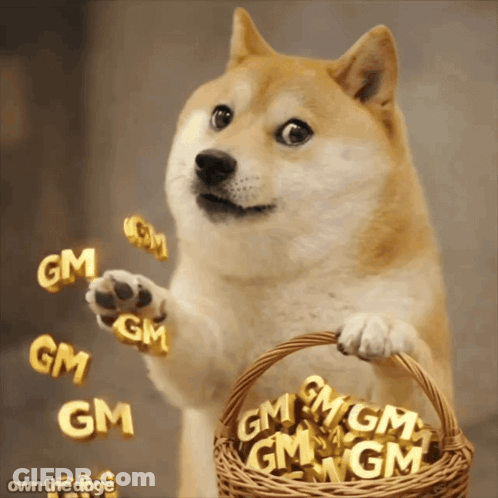 A Dog Holding A Basket Filled With Gm Letters GIF