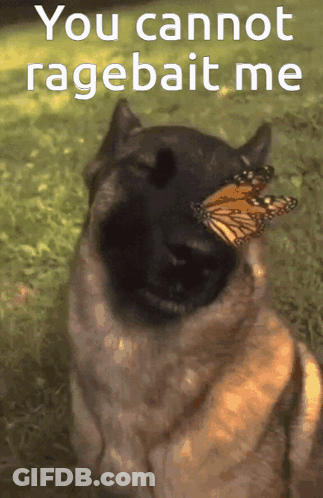 A Dog Holding A Butterfly In Its Mouth With The Words " You Cannot Ragebait Me " Above It GIF