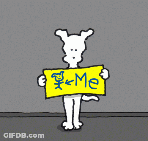A Dog Holding A Sign That Says Plus GIF