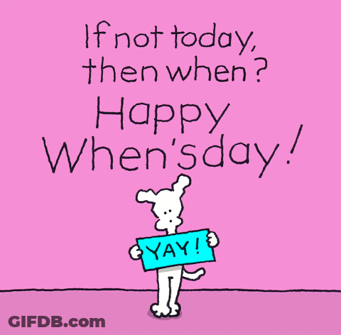 A Dog Holding A Sign That Says Yay On It GIF