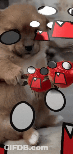 A Dog Holding A Strawberry With A Cartoon Face On It 'S Face GIF