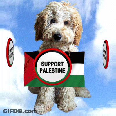 A Dog Holds A Sign That Says Support Palestine GIF