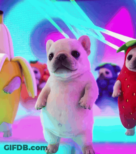 A Dog In A Banana Costume Stands Next To A Strawberry Costume Dog GIF