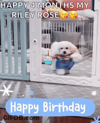 A Dog In A Cage With The Words Happy 4 Months My Riley Rose Above It GIF