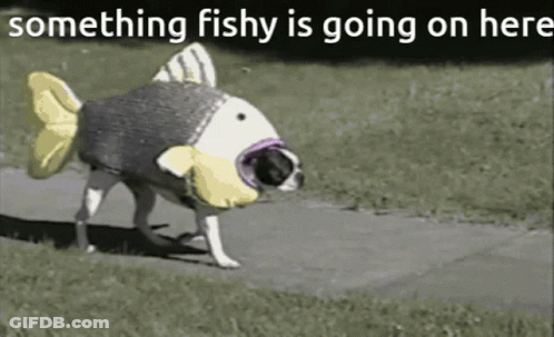 A Dog In A Fish Costume Walking Down A Sidewalk GIF