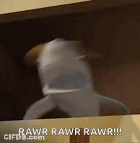 A Dog In A Shark Costume Is Looking Out Of A Window And Saying Rawr Rawr Rawr . GIF