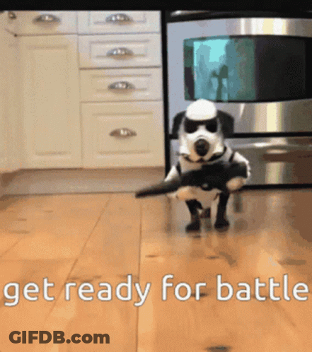 A Dog In A Storm Trooper Costume With The Words Get Ready For Battle GIF