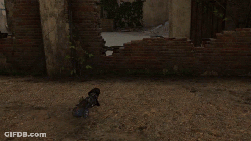 A Dog In A Wheelchair Is Standing In Front Of A Brick Wall With A Sign That Says ' A ' On It GIF