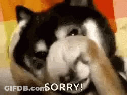A Dog Is Covering Its Face With Its Paw And The Word Sorry Is On The Bottom Of The Picture . GIF