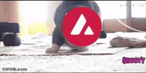 A Dog Is Crawling On The Floor With A Red Circle With A Triangle In The Middle And The Word Booty In Pink Letters GIF