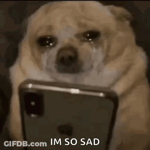A Dog Is Crying While Looking At A Cell Phone And Says `` Im So Sad '' . GIF