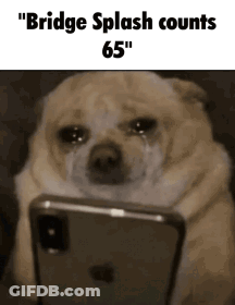 A Dog Is Crying While Looking At A Cell Phone With The Caption " Bridge Splash Counts 65 " GIF