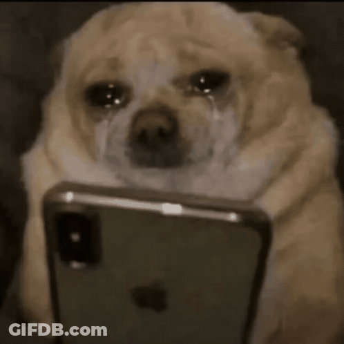 A Dog Is Crying While Looking At An Iphone GIF