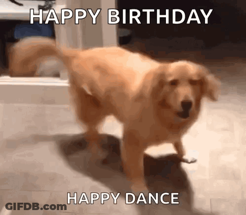 Dog Dancing With Happy Birthday And Happy Dance GIF
